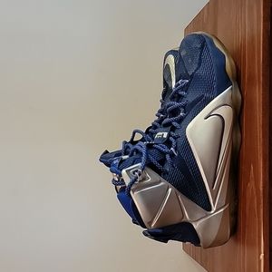 Nike Air Lebron 12 What If Sz 9.5